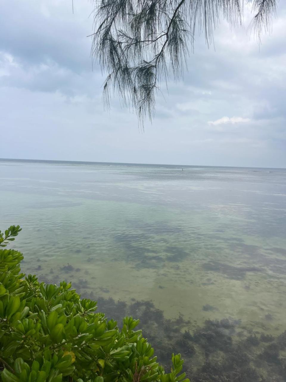 Le Chateau Bleu Anse aux Pins Extérieur photo